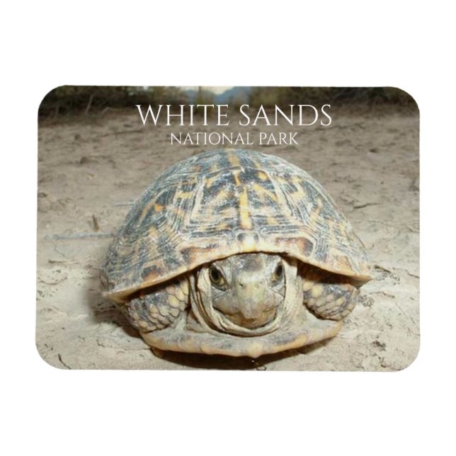 Magnet Flexible Boite à sable blanc Turtle (Horizontal)