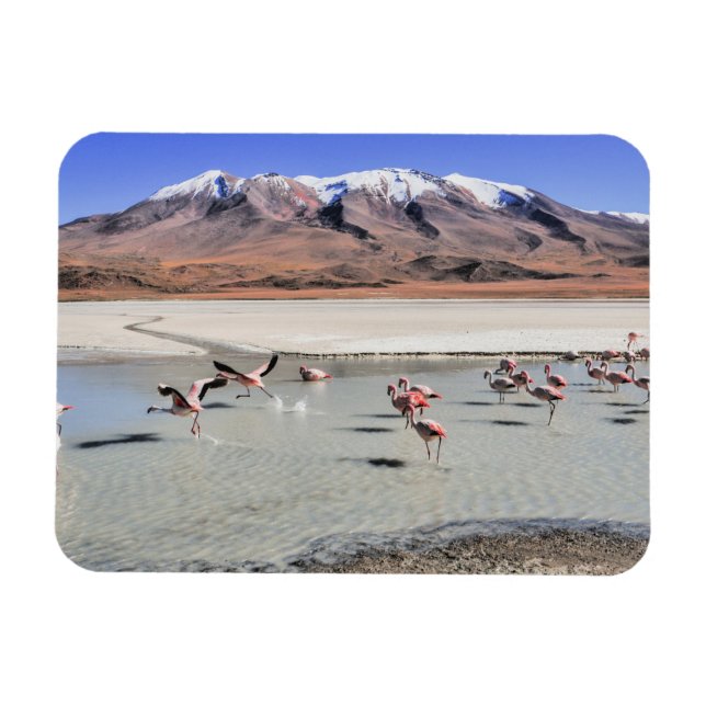 Magnet Flexible Bolivie photographie paysage (Horizontal)