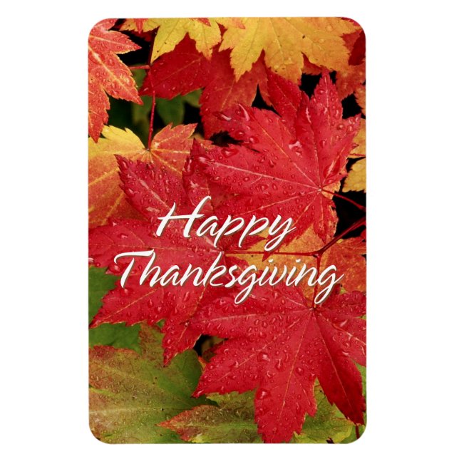 Magnet Flexible Bon thanksgiving 8 Aimant Premium (Vertical)