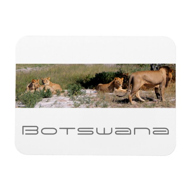 Magnet Flexible Botswana Centre Kalahari Lions Savannah Voyage (Horizontal)