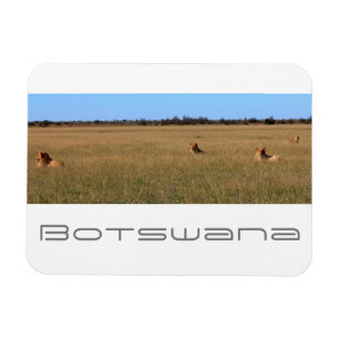 Magnet Flexible Botswana Centre Kalahari Lions Savannah Voyage