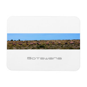 Magnet Flexible Botswana Oryx Animaux Savannah Voyage