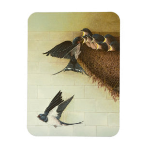 Magnet Flexible Bouches affamées 2011