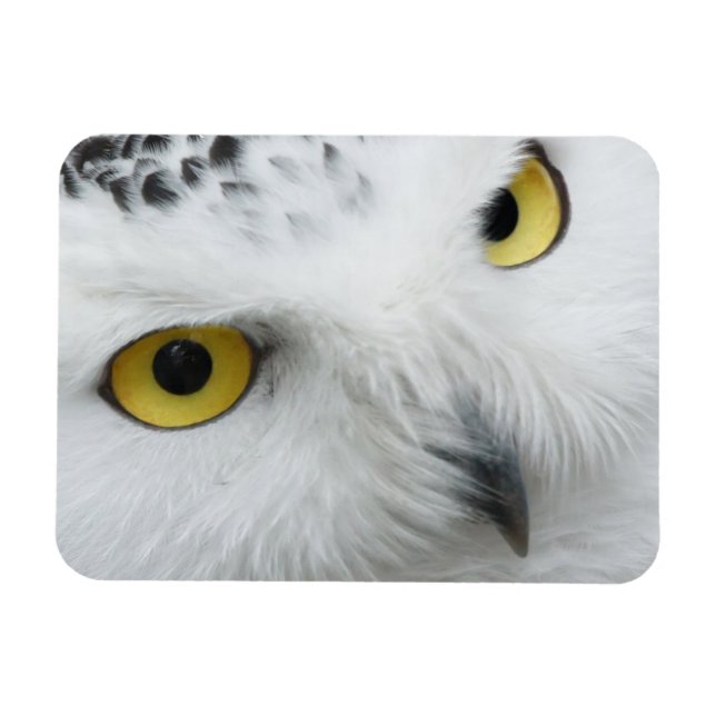 Magnet Flexible Boue des neiges Photo Aimant flexible (Horizontal)