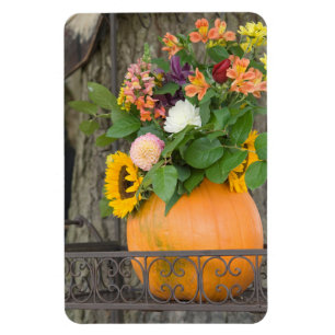 Magnet Flexible Bouquet de citrouille d'automne