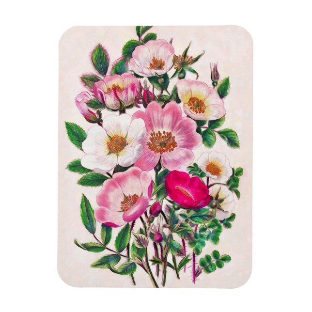 Magnet Flexible Bouquet Fleurs Roses sauvages roses et blanches (Vertical)