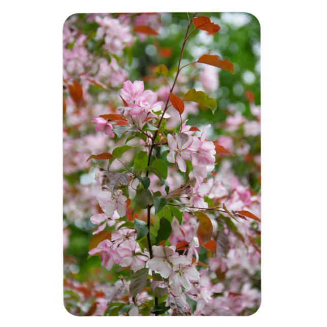 Magnet Flexible Branche délicate avec fleurs pommier (Vertical)