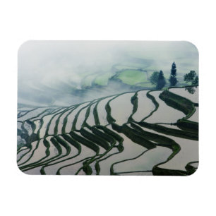 Magnet Flexible Brouillard de matin au-dessus des gisements de riz