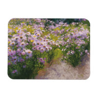 Buckhorn Aster