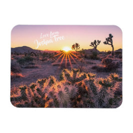 Magnet Flexible Cactus Cholla violet orange Joshua Tree coucher de
