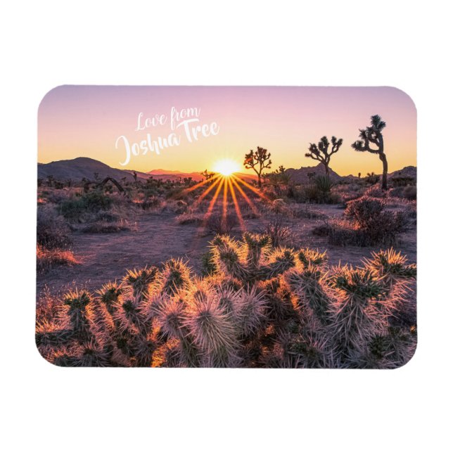Magnet Flexible Cactus Cholla violet orange Joshua Tree coucher de (Horizontal)