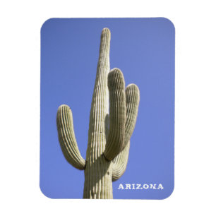 Magnet Flexible Cactus de Saguaro - Arizona - aimant