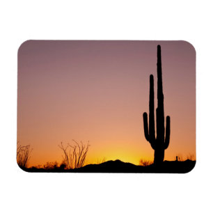 Magnet Flexible Cactus de Saguaro au coucher du soleil