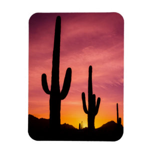Magnet Flexible Cactus du Saguaro au lever du soleil, Arizona