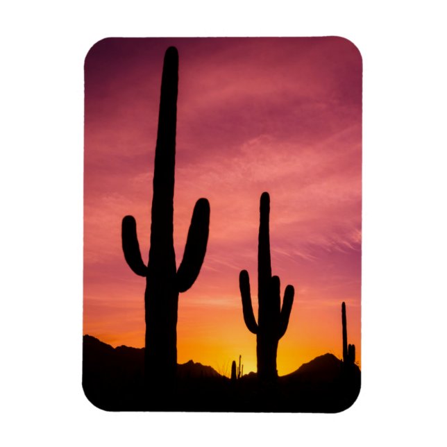 Magnet Flexible Cactus du Saguaro au lever du soleil, Arizona (Vertical)