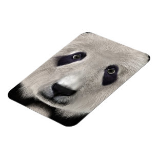 Magnet Flexible Cadeau parfait pour un ours panda mignon kawaii am