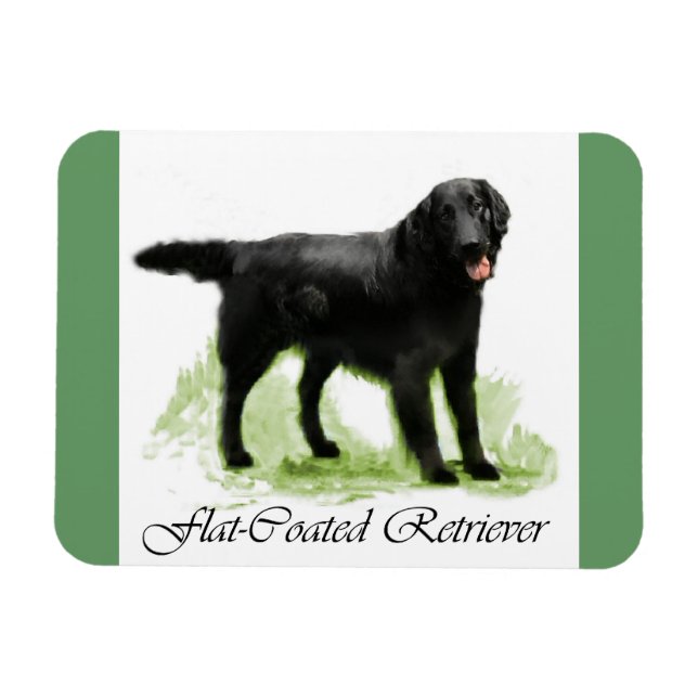 Magnet Flexible Cadeaux d'Art Retriever à revêtement plat (Horizontal)