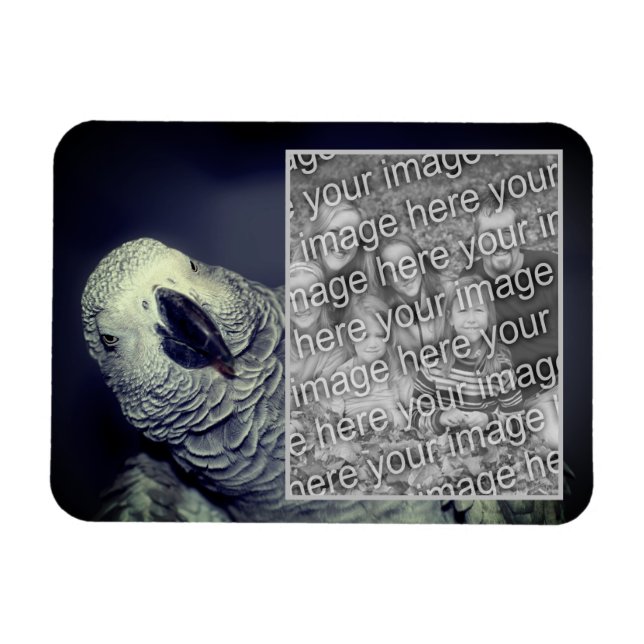 Magnet Flexible Cadre de perroquet gris d'Afrique Ajoutez votre ph (Horizontal)