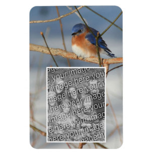 Magnet Flexible Cadres de Bluebird d'hiver Créez votre propre phot