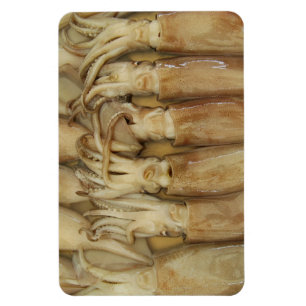 Magnet Flexible Calamari
