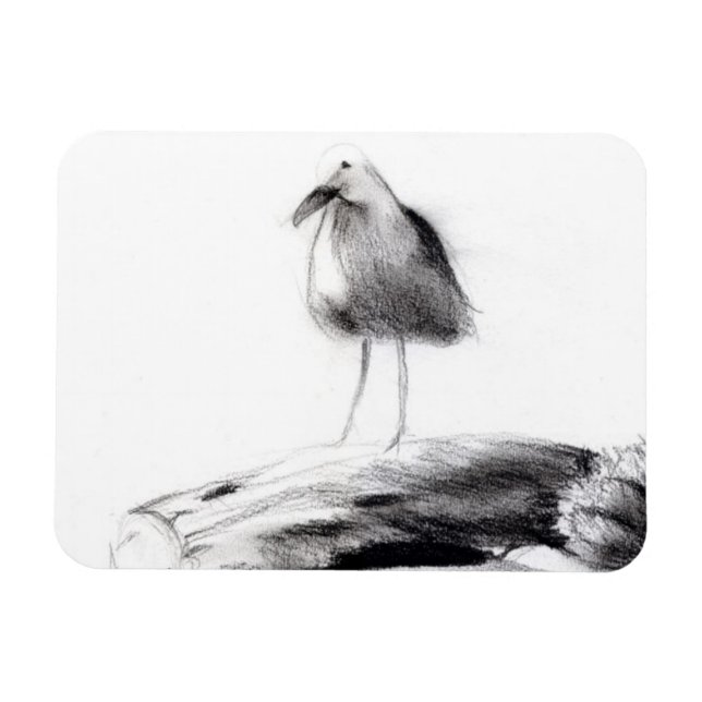 Magnet Flexible Californie Seagull 2012 (Horizontal)