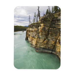 Magnet Flexible Canada, Alberta, parc national de Jasper, Athabasc