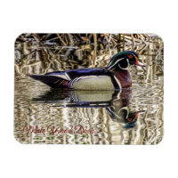 Canard de bois mâle nageant dans l'étang puzzle