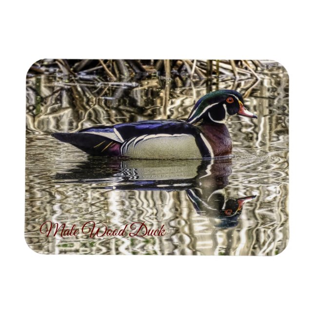 Magnet Flexible Canard de bois mâle nageant dans l'étang puzzle (Horizontal)