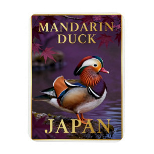 Magnet Flexible 🦆 Canard Mandarin Japon Oiseau Exotique