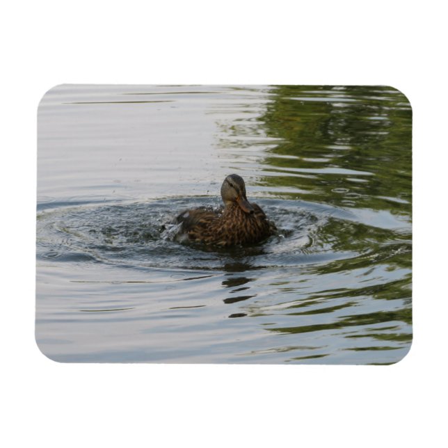 Magnet Flexible Canard secouant Tailfeather (Horizontal)