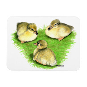 Magnet Flexible Canetons de canard colvert enneigés