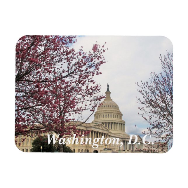 Magnet Flexible Capitol et cerisiers en fleurs (Horizontal)