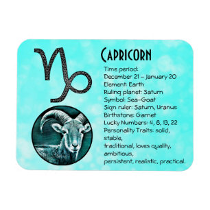Magnet Flexible Capricorn Horoscope Traits and Facts