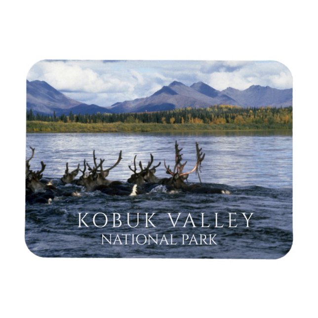 Magnet Flexible Caribou traversant la rivière Kobuk, vallée de Kob (Horizontal)