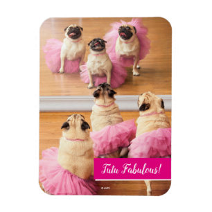 Magnet Flexible Carlins Ballerina En Tutus