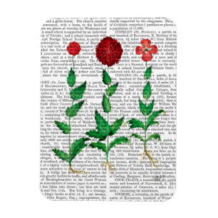 Magnet Flexible Carnation italienne 2