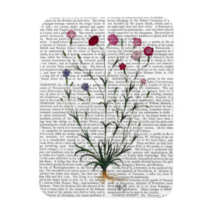 Magnet Flexible Carnation italienne 5
