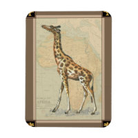 Carte de l'Afrique et une girafe