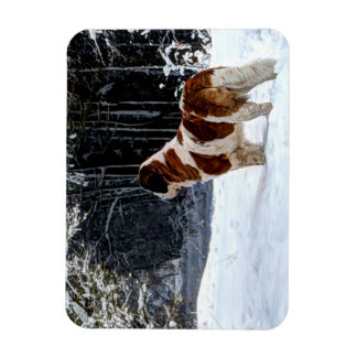 Magnet Flexible carte de Noël photographique de Saint-Bernard enne