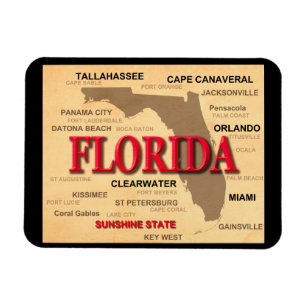 Magnet Flexible Carte des villes et villes de Floride State Pride