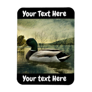 Magnet Flexible Carte postale Patinée vintage Mallard Duck