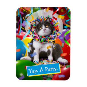 Magnet Flexible Cat In Party Cone