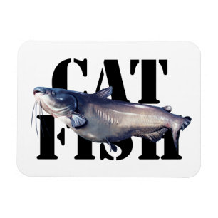 Magnet Flexible Catfish