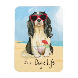 Magnet Flexible Cavalier d'été