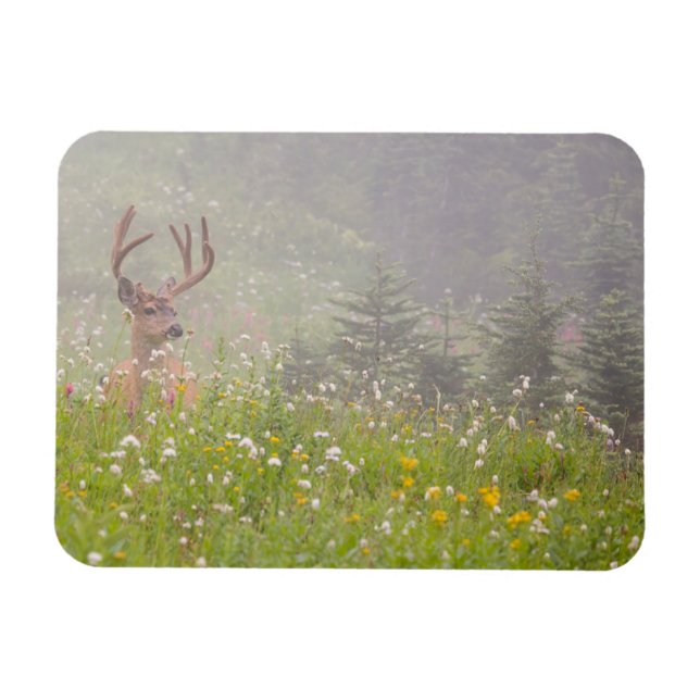 Magnet Flexible Cerf Buck | Parc national du mont Rainier (Horizontal)