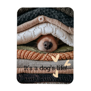Magnet Flexible C'est un aimant photo flexible à vie de chien