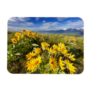 Magnet Flexible Chaîne nationale de bisons