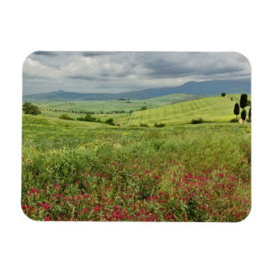 Magnet Flexible Champ agricole, région de Toscane en Italie.