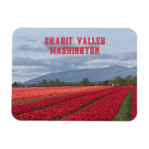 Champ de tulipes de la vallée de Skagit, État de W