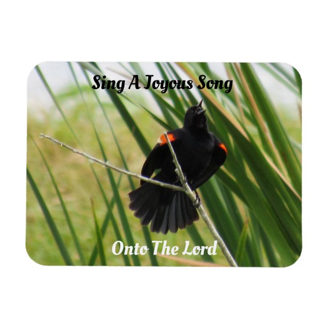Magnet Flexible Chanter Une Chanson Joyeuse - Aimant De Citation D (Horizontal)